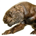 thumbnail image 4 of Design Toscano Prowling Tiger Cast Bronze Garden Statue, 4 of 5