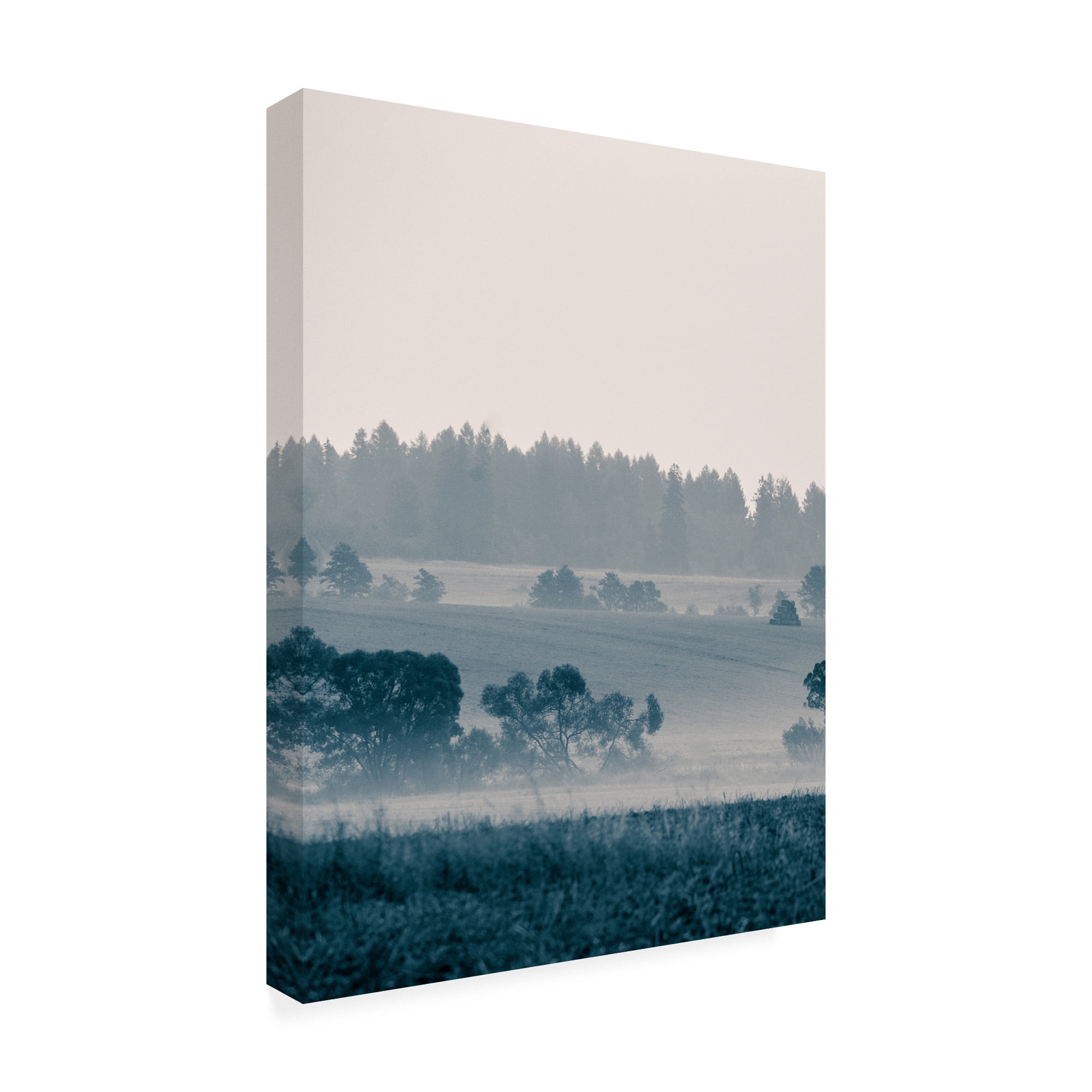 Trademark Fine Art 'Blue Mountains III' Canvas Art by PhotoINC Studio