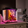 thumbnail image 3 of JumblPets Starter Small Glass Aquarium Kit, 2 Gallon with LED & Accessories, 3 of 9