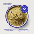 thumbnail image 3 of Bone Broth Powder for Dogs-With Organic Mushrooms & Collagen-Supports Digestion & Joints-3.20 oz, 3 of 8
