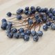 thumbnail image 1 of WEUVEB 50Ud Adornos De Bayas Falsas Para Hogar Y Fiestas Con Exquisito Y Uso En Manualidades, 1 of 8