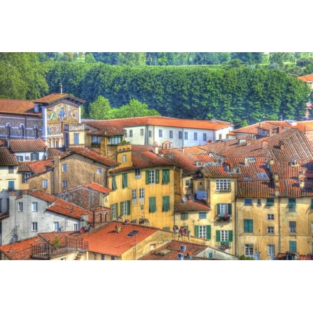 Roof Tops of Lucca, Lucca, Italy Print Wall Art By Terry