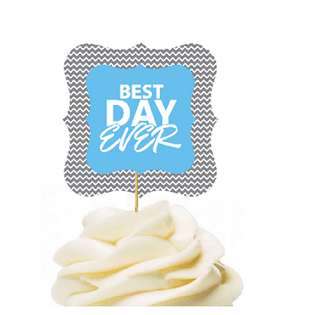 12pack Best Day Ever Blue Grey Chevron Cupcake Desert Appetizer Food Picks for Weddings, Birthdays, Baby Showers, Events &