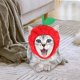 thumbnail image 4 of Sombrero para perro gato Zulema invierno disfraz divertido Manzanas, 4 of 8