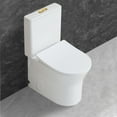 thumbnail image 4 of WinZo Small 23 inch One Piece Toilet with 10 inch Rough-in Compact For Compact Short Bathroom,White with Golden Button, 4 of 6