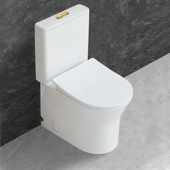 WinZo Small 23 inch One Piece Toilet with 10 inch Rough-in Compact For Compact Short Bathroom,White with Golden Button