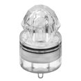 thumbnail image 3 of Pesca LED Fish Finding Trap Lamp Night Fishing atrae señuelos cebo luces (blanco) Ehuebsd Para Estrenar, 3 of 6