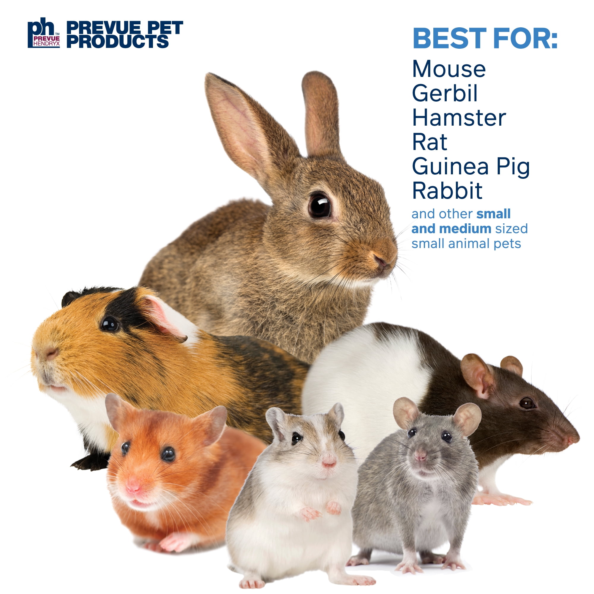 Prevue Pet Products Celebration! Small Animal Mineral Chew Toy Bundle