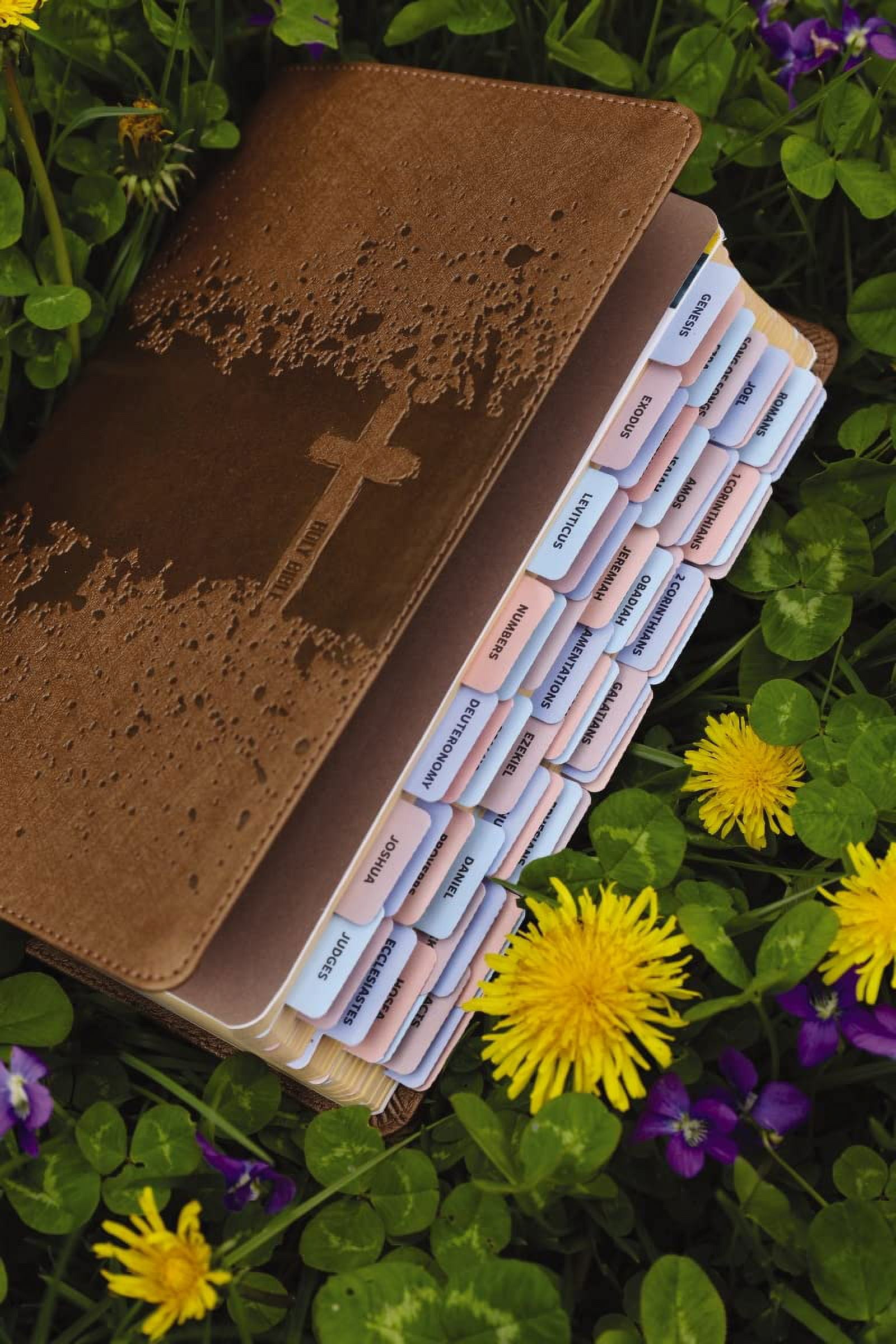 Niv, Kids' Visual Study Bible, Leathersoft, Bronze, Full Color Interior, Peel/Stick Bible Tabs: Explore the Story of the, (Hardcover)
