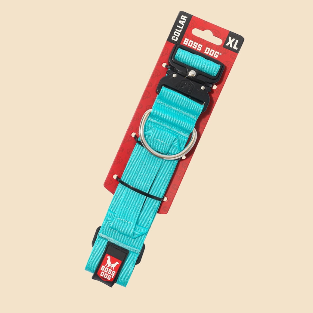 Boss Dog Proseries™  Heavy Duty, Padded Safety Collar, Teal ,XL