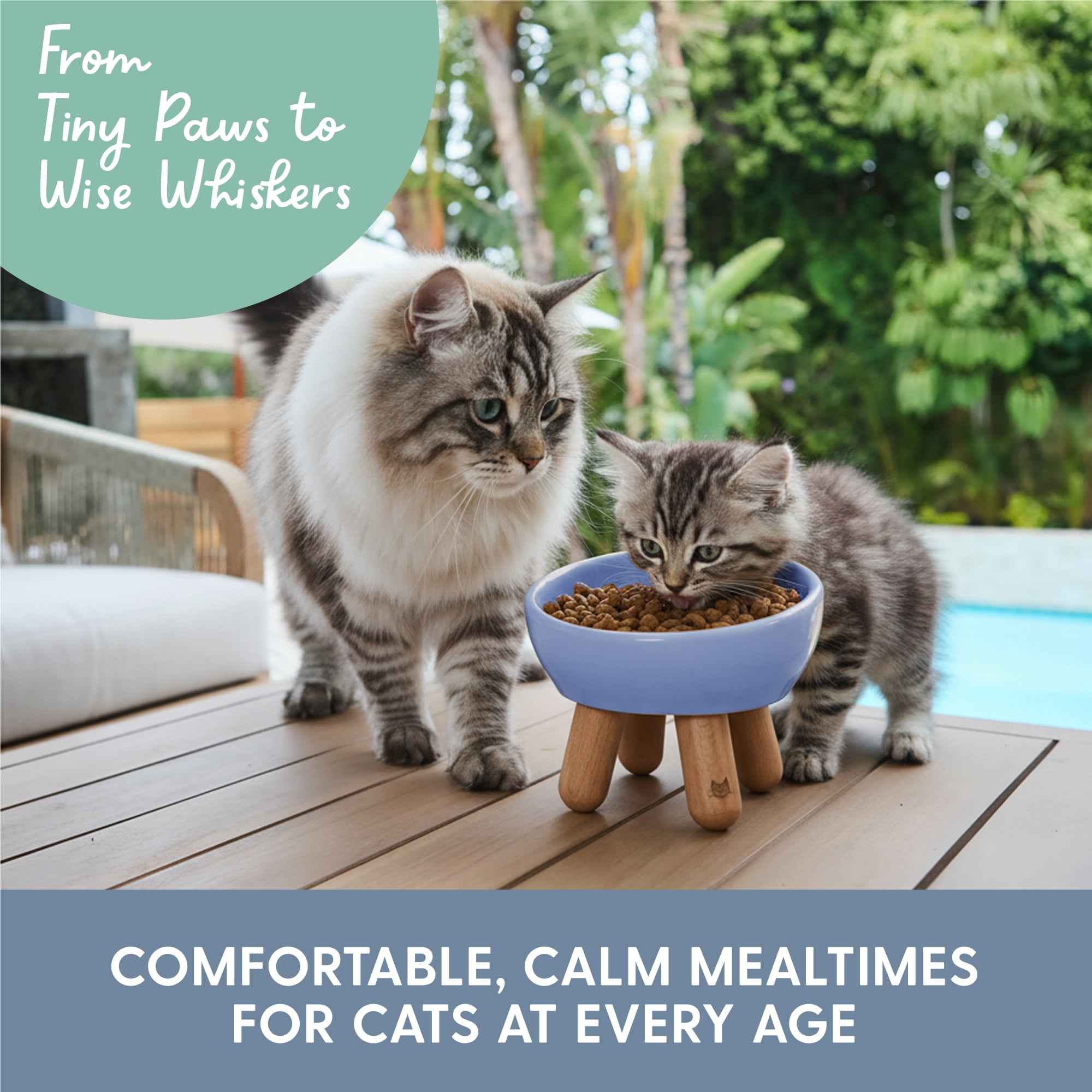 The Cat Ladies Tilted Ceramic Cat Bowl - Elevated Food Bowls Ceramic Pet Bowl - Raised Ceramics Bowls - Elevated & Tilted Design for Comfortable Eating - Blue