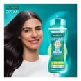 thumbnail image 3 of Shampoo Palmolive Optims Nivel 4 Acondicionamiento Extra Intensivo Con Vital Keratina, Cabello más Suave 700 ml, 3 of 4