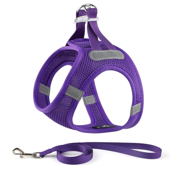 Charkool Reflective Dog Harness and Leash, Adjustable Breathable Dog Vest, Training for Extra Small Dogs,Purple