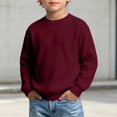 thumbnail image 2 of Kids Solid Color Waffle Knit Crew Neck Sweatshirt Boys Girls Long Sleeve Pullover Soft Lined Fall Winter Casual Basic Top for Daily School Layering Wear(,4-5 Years), 2 of 8