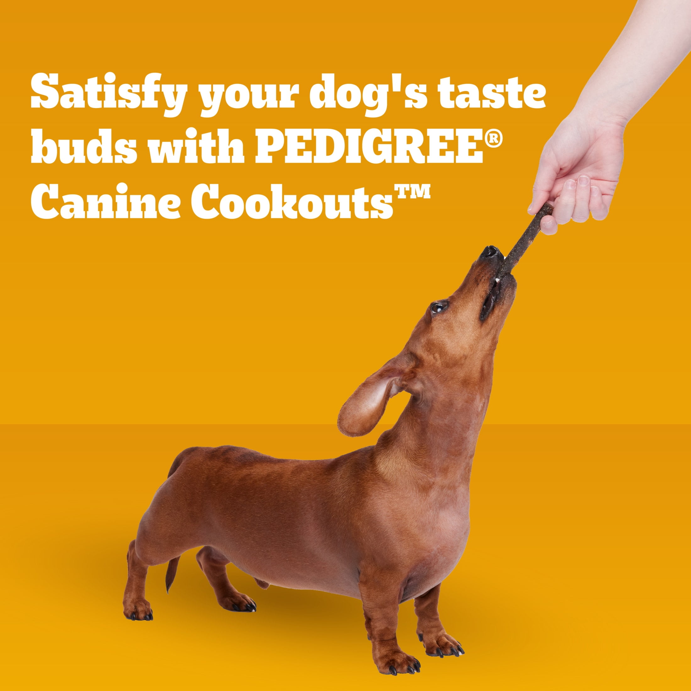 Pedigree Canine Cookout Soft Dog Treats, Beef Flavored Meaty Sticks, 5.36 Oz Bag