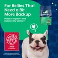 thumbnail image 5 of NaturVet Advanced Probiotics & Enzymes Digestion Supplements for Dogs, Hickory Smoked Bacon Flavor, 45 Scoopable Tiny Bites, 5 of 9