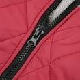 thumbnail image 3 of Baywell Fashion Vest Dog Jacket - Warm Zip Up Dog Bomber Vest with Dual D Ring Leash - Winter Water Resistant Small Dog Sweater Red XL, 3 of 10