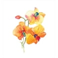 thumbnail image 3 of Floral Duvet Cover Set, Orchid Petals Wild Flower Exotic Fragrance Pure Florets Watercolor Tribal, Decorative 2 Piece Bedding Set with 1 Pillow Shams, Twin Size, Red Yellow Marigold, by Ambesonne, 3 of 3