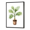 thumbnail image 3 of Designart 'Palm Plant In Clay Flowerpot' Traditional Framed Canvas Wall Art Print, 3 of 5
