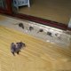 thumbnail image 1 of Tablero adhesivo invisible para ratas, manta de Control de ratas, pegatina fuerte para ratas, 1,2 m, 3 paquetes, 1 of 5