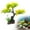 A, variant on IUAMXWU Multi-Color Realistic Cherry Blossom Artificial Aquarium Tree, Lifelike Plastic Underwater Plant Decor, Elegant Landscape Ornament For Household Fish Tank Natural Scenery Layout Use