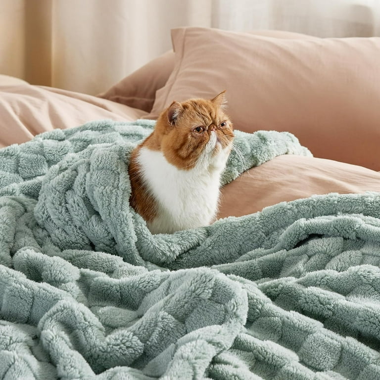 Super soft twin blanket hotsell