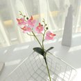 thumbnail image 3 of pitrice Artificial Plant Decorative Replacement Solid Color Simulation Culture Ornament Replacing Lightweight Realistic Home Hotel Office Photography Fake Potting Pink, 3 of 9