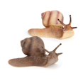 thumbnail image 1 of 2 Piezas Estatua de Caracol de Jardín Estatuilla de Plástico Patio Caracol Artesanía Escultura Animal Decoración para Mini Jardín de Hadas Micro Paisaje Adorno de Tanque de Peces, 1 of 5