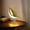 E, variant on FNYOXU Night Light, Originality Magpie Aromatherapy Led Car Decorative Light Bedroom Bed Bird Night Light Charging Contact Vibes Lamp