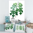 thumbnail image 2 of Ancient Green Leaves Plants II 30 in x 40 in Painting Canvas Art Print, by Designart, 2 of 4