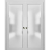 Modern Double Pocket Closet Glass Doors 64 x 80