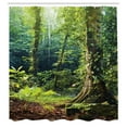 thumbnail image 3 of Ambesonne Rainforest Shower Curtain, Wild Ivy on Trees, 69"Wx84"L, Green Brown, 3 of 5