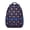 Hedgehog Pattern-2, variant on Hedgehog Love Pattern Backpack for School,Cute School Bag,Schoolbag with Adjustable Shoulder Straps & Padded Back,15.3"x11"x6.7"
