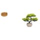 thumbnail image 1 of Cestas de almacenamiento,Cestas de almacenamiento de cocina tejidas con asas hechas a mano,Cestas de pan redondas Bandejas para servir Rectángulo,Árbol bonsái artificial,Árbol bonsái, 1 of 8