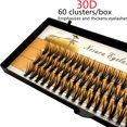 thumbnail image 1 of 1 caja de 60 racimos de pestañas de extensión 20/30D, pestañas individuales, pestañas postizas gruesas naturales, paquete de pestañas individuales Tan Jianjun unisex, 1 of 2