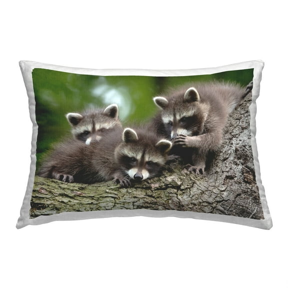 Stupell Industries Three Raccoon Cubs Decorative Printed Throw Pillow, 14 x 20