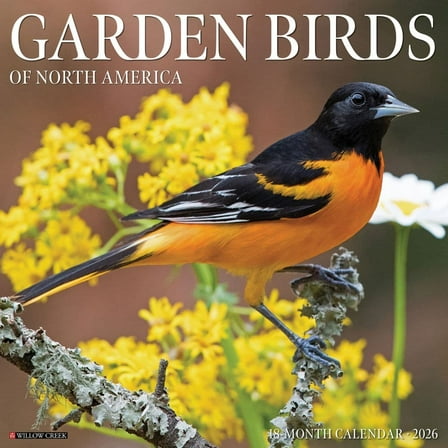 Garden Birds 2026 12" x 12" Wall Calendar [9781549251184]