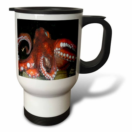 

3dRose Octopus Travel Mug 14oz Stainless Steel