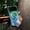 Blue, variant on Case for iPhone 15,Pearl Glitter Bling Shiny Glacial Glossy Stylish Shockproof Protective with Wireless Charging Phone Case for iPhone 15,6.1 Inch 2023 (Black)
