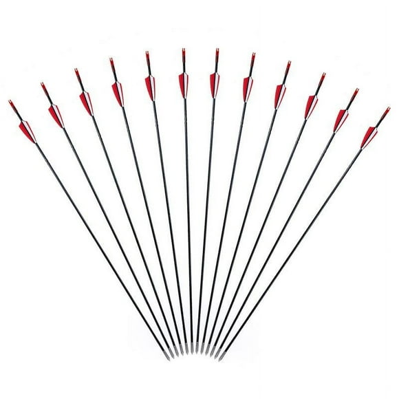 12pcs 6mm composite bow, fiberglass arrow wrapped with arrows,
