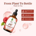 thumbnail image 6 of SVA Camellia Seed Oil Organic - 4 Fl Oz – 100% Natural Cold Pressed Organic Camellia Oil - for Face, Skin Care, Hair Care, Scalp Massage & Body Massage – Carrier Oil with Dropper, 6 of 9