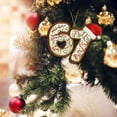 thumbnail image 5 of 67 Christmas Ornament – Funny 67 Ornament for Christmas Tree, Durable & Fade-Resistant Holiday Decor, Humor-Themed Ornament for Xmas Tree, Birthday Gifts & Novelty Decoration, 5 of 7