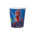 thumbnail image 1 of Spider-Man Décoration de Fête d'Anniversaire à Thème, 1 of 1