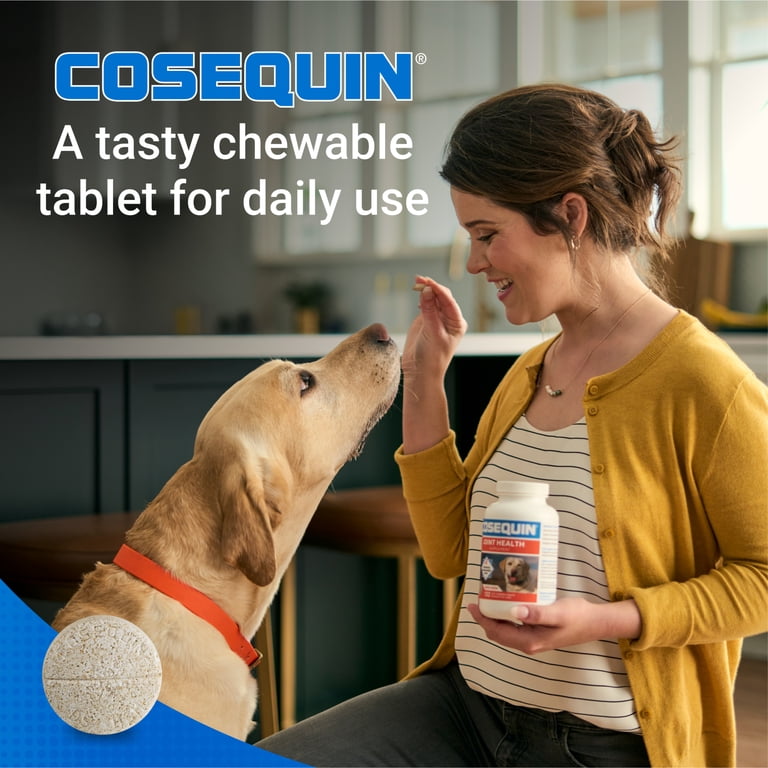 Nutramax Cosequin for Dogs Joint Health Supplement, 60ct - Walmart.com