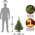 thumbnail image 3 of Artificial Mini Christmas   Green  Kincaid Spruce  Includes Stand  3 Feet, 3 of 5
