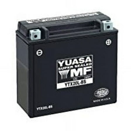 Yuasa YUAM624B4 YT14B-BS Maintenance Free AGM Battery with Acid pack