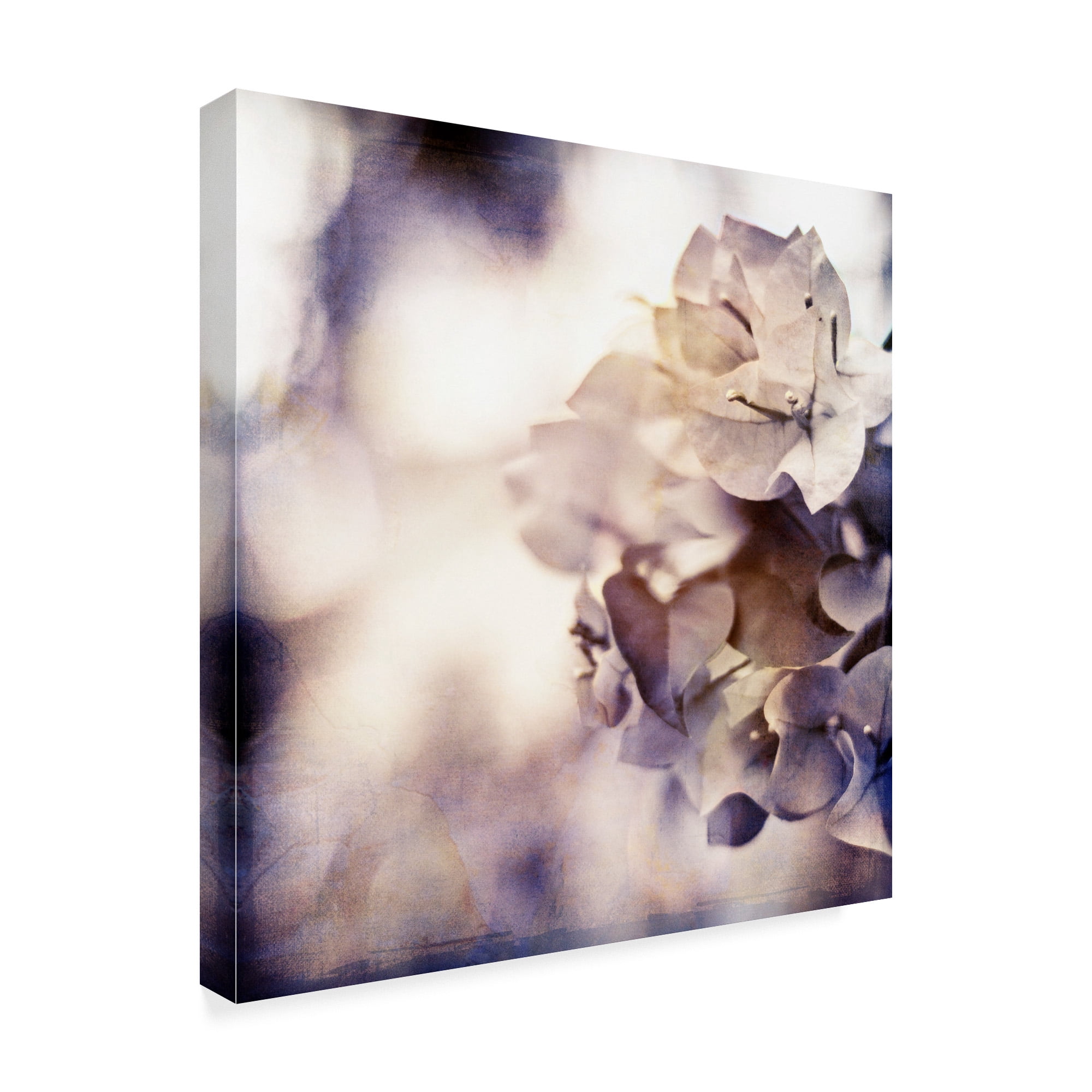 Trademark Fine Art 'Purple Dusk I' Canvas Art by Emily Robinson