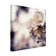 thumbnail image 2 of Trademark Fine Art 'Purple Dusk I' Canvas Art by Emily Robinson, 2 of 4