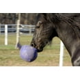 thumbnail image 6 of Horsemen's Pride Tug N Toss Jolly Ball Extra Large Purple Toy for Dogs Horses, 6 of 6