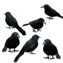 Halloween Crows Ravens 6 Pcs Halloween Black Crows Feathered Crows Realistic Looking Ravens Large Handmade Black Crow For Halloween Decoration Party Supplies